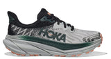 Women's CHALLENGER ATR 7 (D Width) - W-1134500 HMSP - HARBOR MIST/SPRUCE