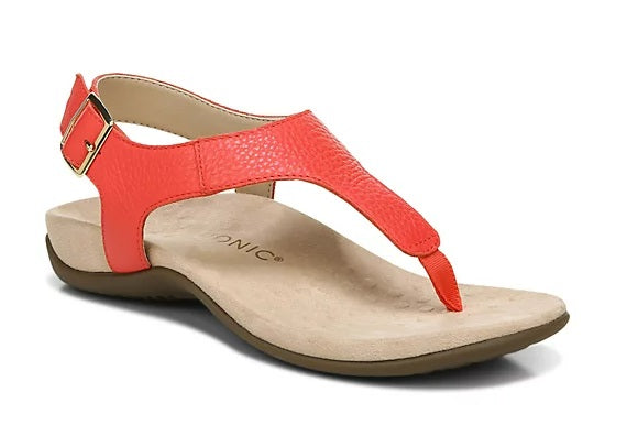 Terra thong clearance sandal